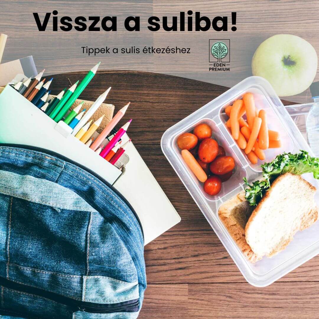 Vissza a suliba!