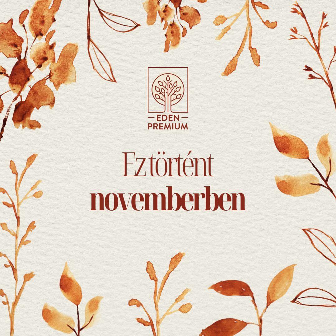 Eden Krónikák: November hónap történései!